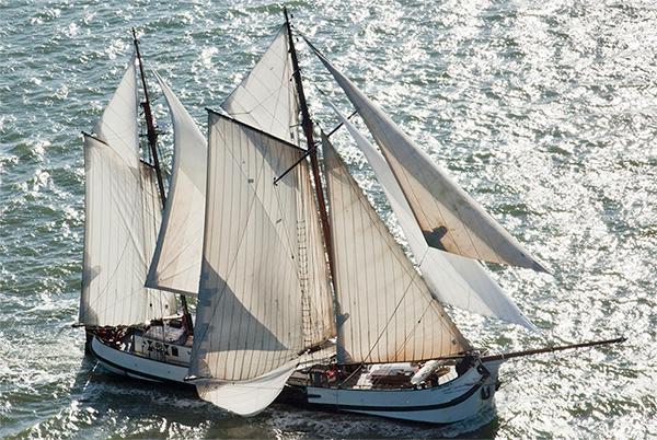 Bateaux commerciaux à vendre