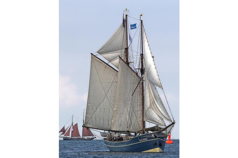 Navigant navire à passagers Voile 39.00