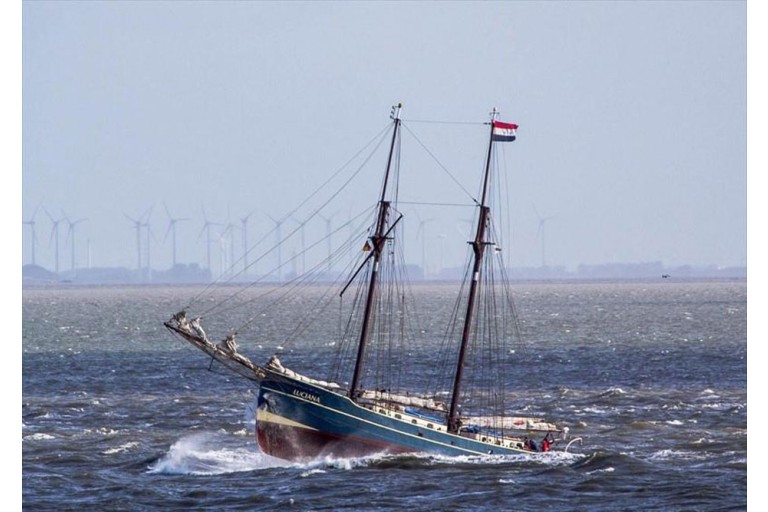 Navigant navire à passagers Voile 39.00