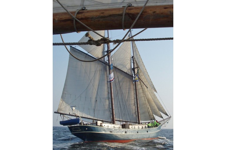 Navigant navire à passagers Voile 39.00