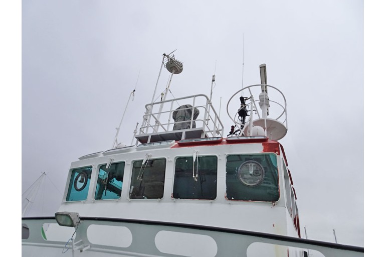 VSP Voith Schneider Tractor Tug