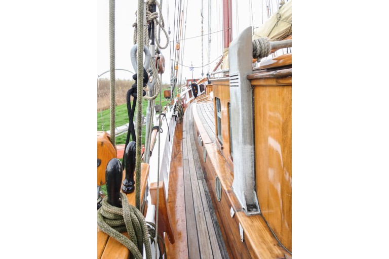 Voile Flèche en cul 19.60