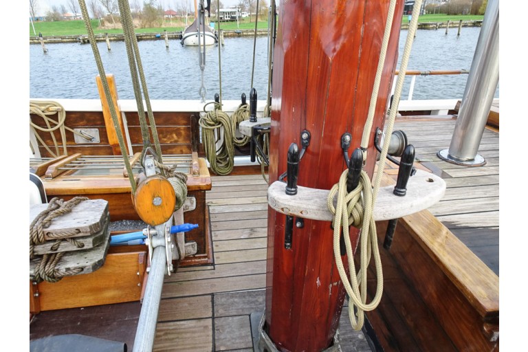 Voile Flèche en cul 19.60