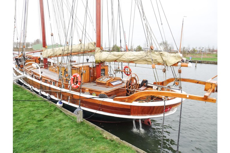 Voile Flèche en cul 19.60