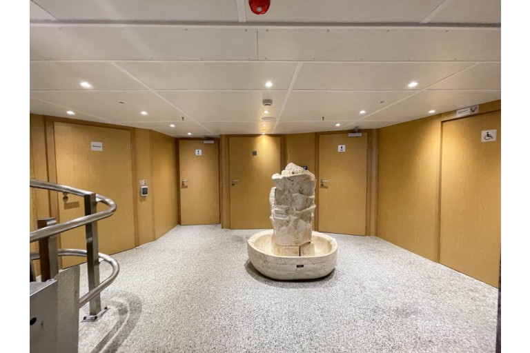 Day passenger ship / Party ship 500 pax