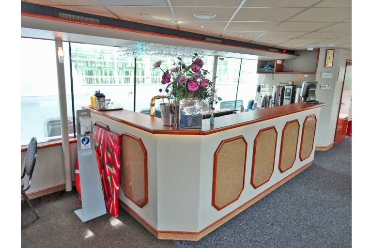 250 passagers Bateau d'excursion