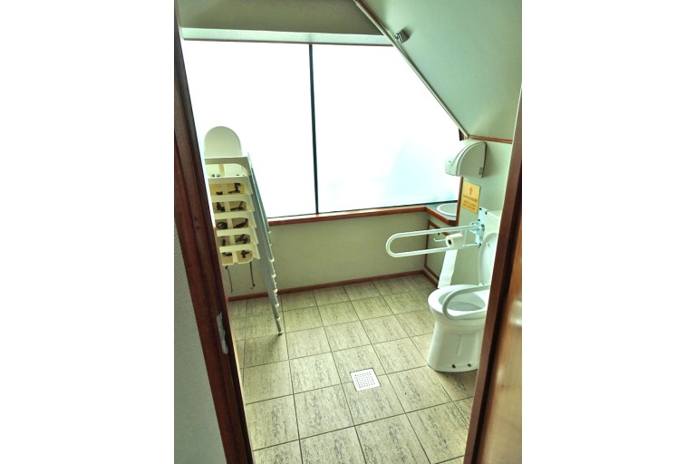 250 passagers Bateau d'excursion