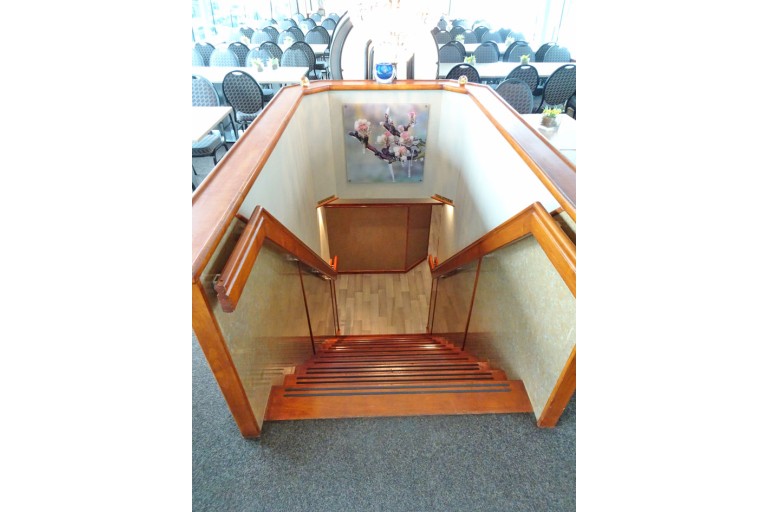 250 passagers Bateau d'excursion