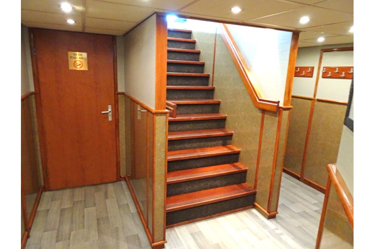 250 passagers Bateau d'excursion