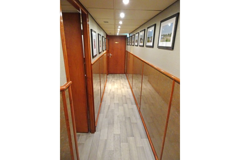 250 passagers Bateau d'excursion