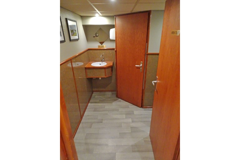 250 passagers Bateau d'excursion