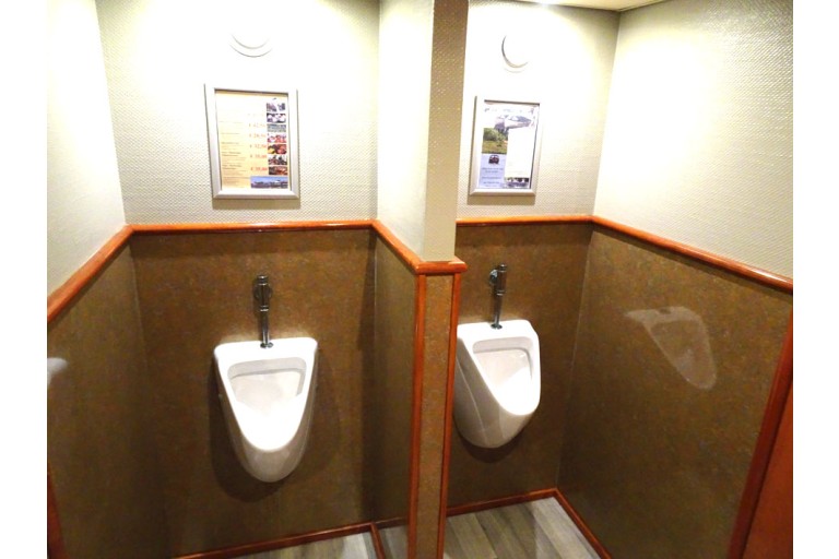 250 passagers Bateau d'excursion