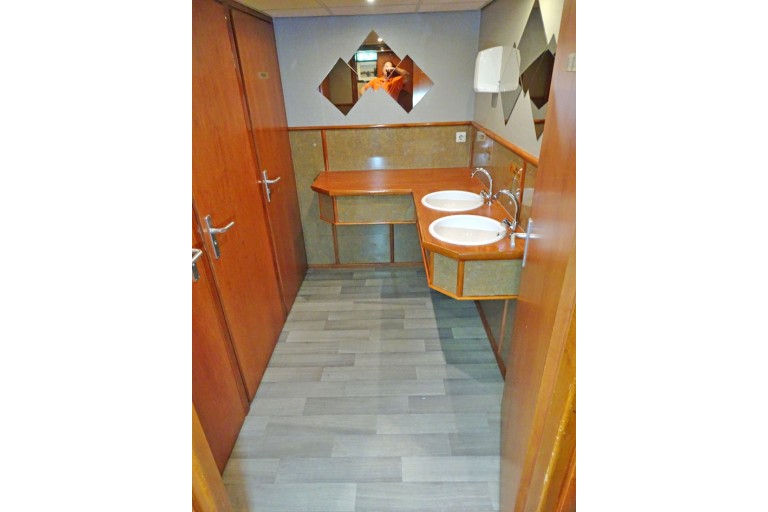 250 passagers Bateau d'excursion