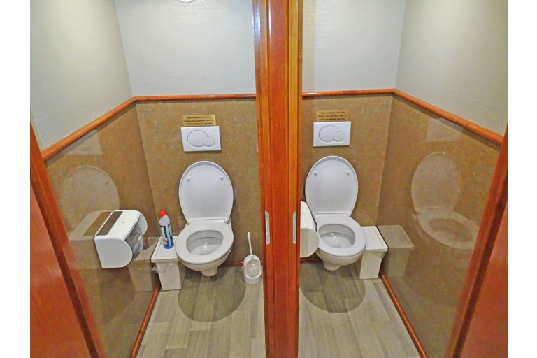 250 passagers Bateau d'excursion