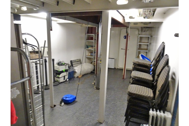 250 passagers Bateau d'excursion