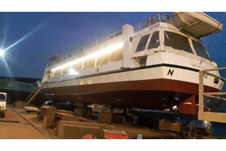 250 passagers Bateau d'excursion