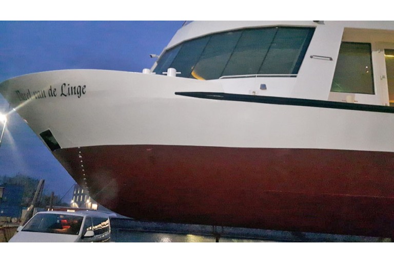 250 passagers Bateau d'excursion