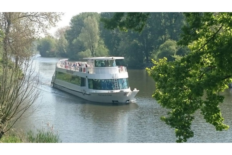 250 passagers Bateau d'excursion