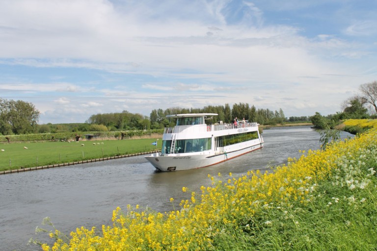 250 passagers Bateau d'excursion