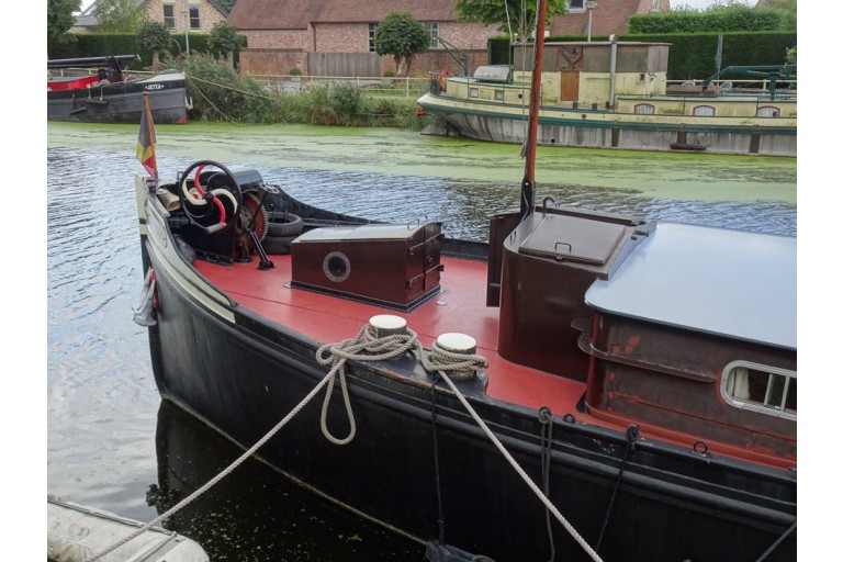 Luxe Motor 24.10 with TRIWV