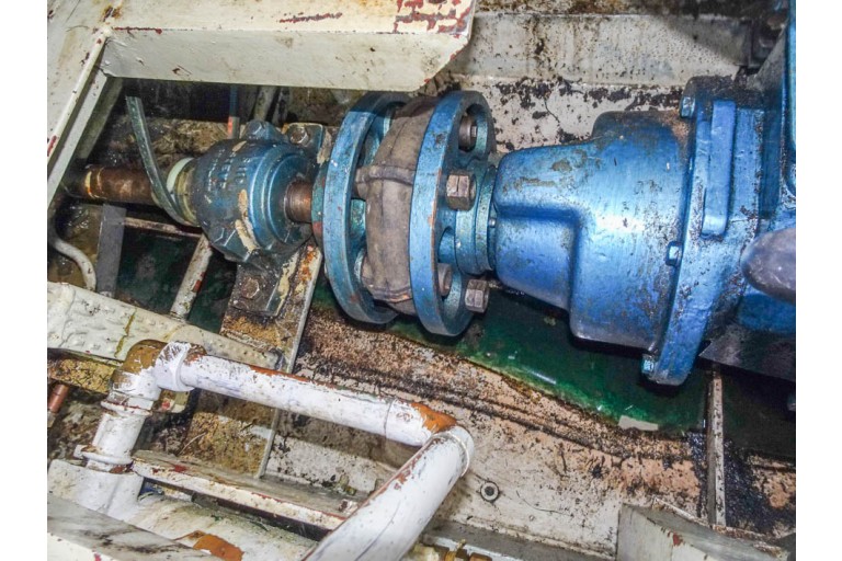 Vedette Hollandaise 13.50 AK