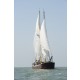 Sailingclipper 25.36 with TRIWV