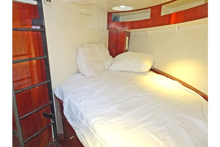 Sailingclipper 25.36 with TRIWV