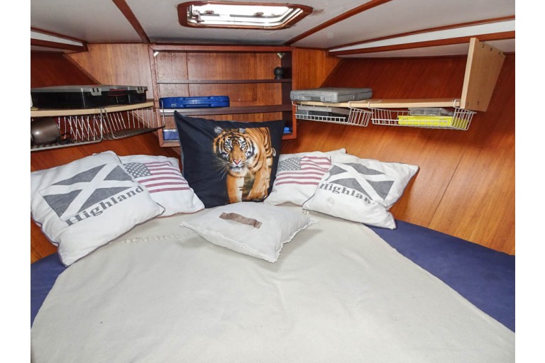 Cytra Ambassador 38 Sport