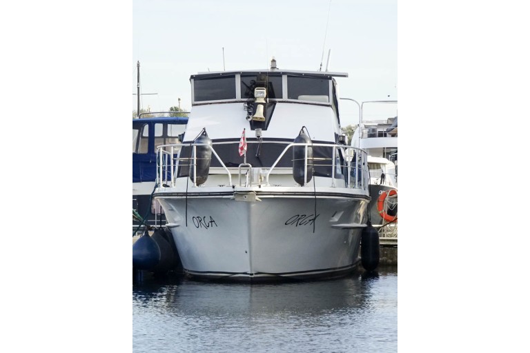 Cytra Ambassador 38 Sport