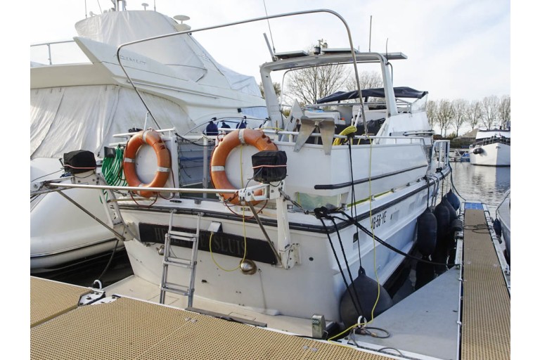 Cytra Ambassador 38 Sport