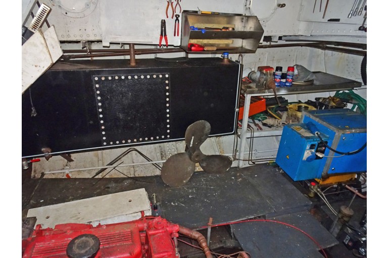 Peniche Hollandaise 22.12 avec certificat