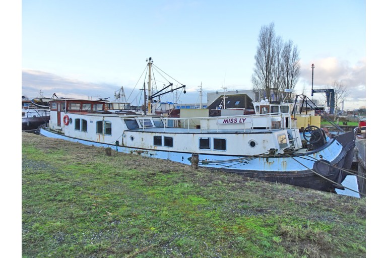 Peniche Hollandaise 22.12 avec certificat