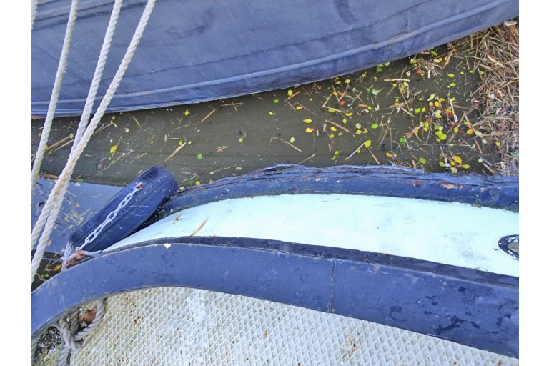 Peniche Hollandaise 22.12 avec certificat