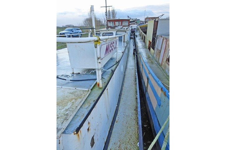 Peniche Hollandaise 22.12 avec certificat