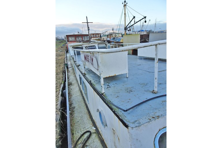 Peniche Hollandaise 22.12 avec certificat