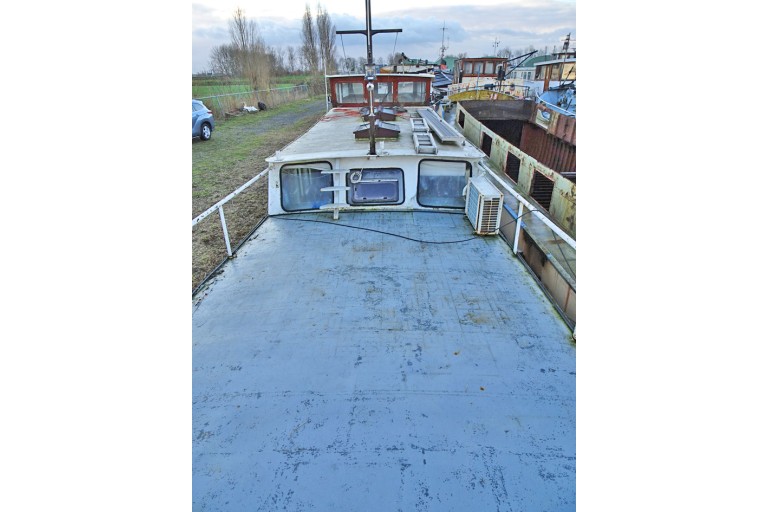 Peniche Hollandaise 22.12 avec certificat