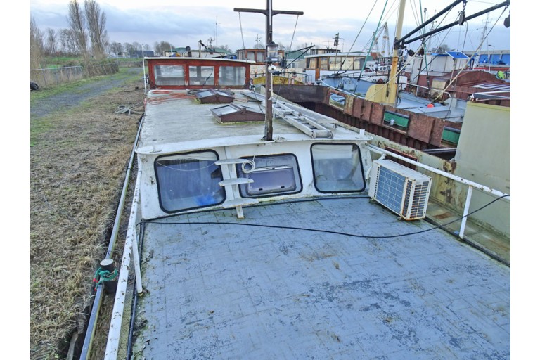 Peniche Hollandaise 22.12 avec certificat