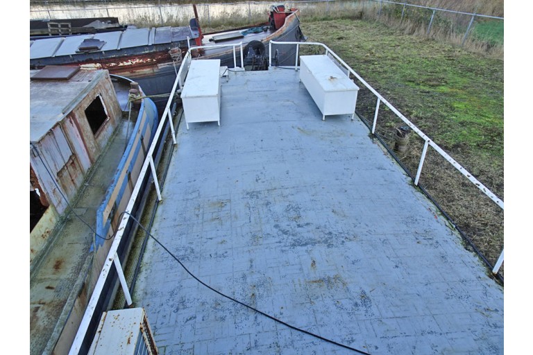 Peniche Hollandaise 22.12 avec certificat