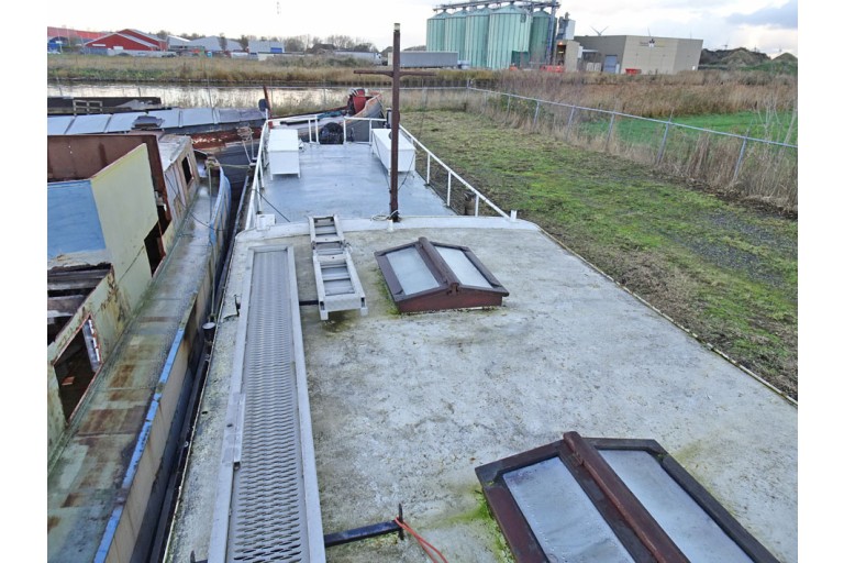 Peniche Hollandaise 22.12 avec certificat