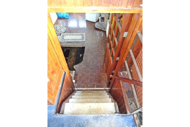 Peniche Hollandaise 22.12 avec certificat