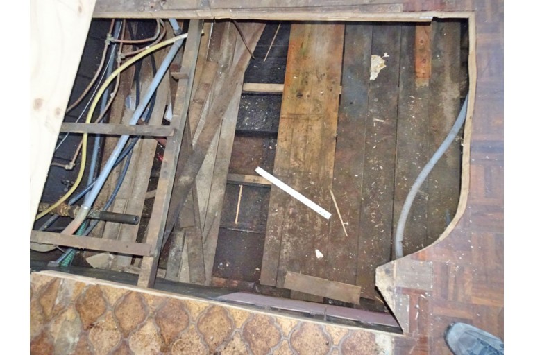 Peniche Hollandaise 22.12 avec certificat