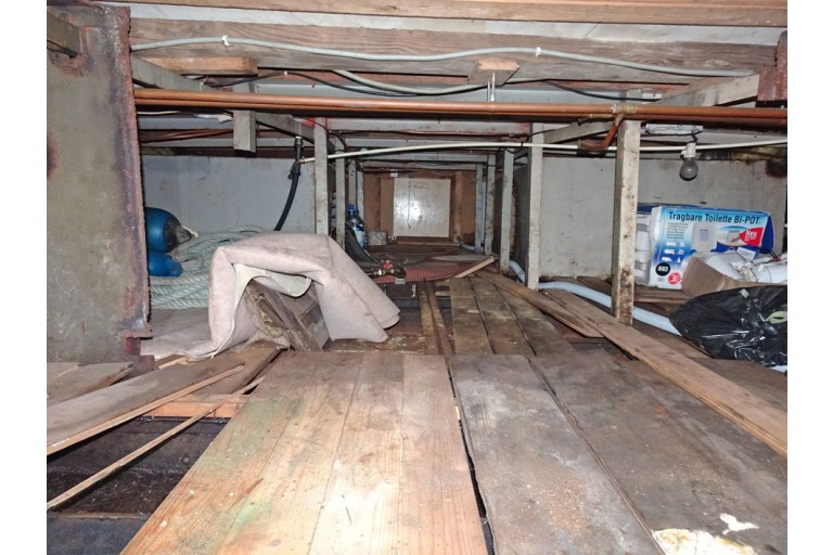 Peniche Hollandaise 22.12 avec certificat