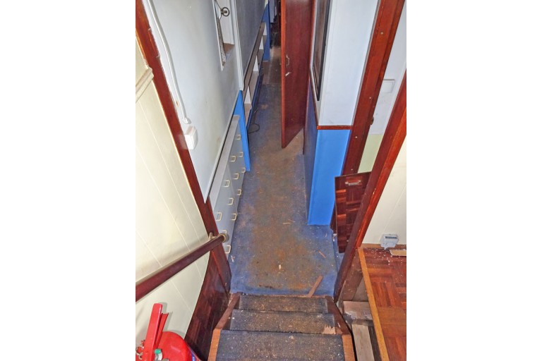 Peniche Hollandaise 22.12 avec certificat