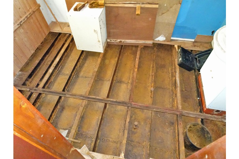 Peniche Hollandaise 22.12 avec certificat