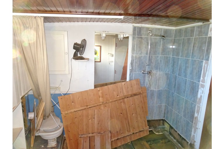 Peniche Hollandaise 22.12 avec certificat