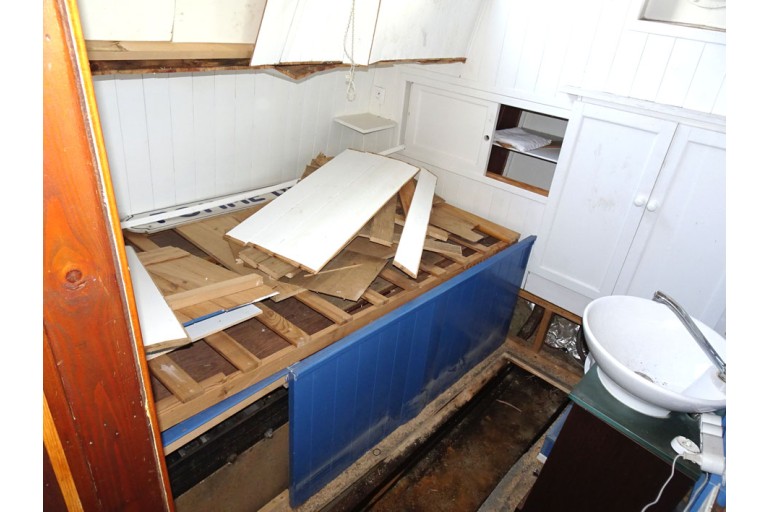 Peniche Hollandaise 22.12 avec certificat