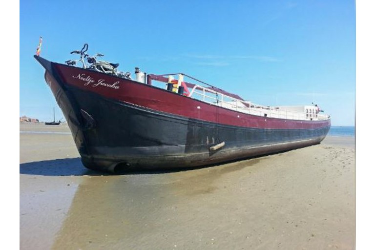 Peniche Hollandaise 28.50 avec certificat