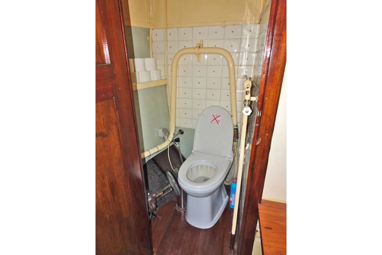 Tugboat Antonie II with TRIWV