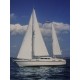 Colvic Victor 40