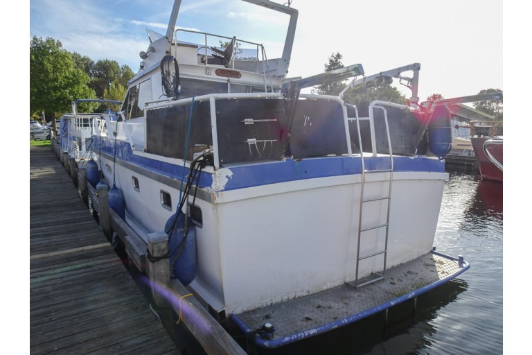 Motor cruiser Goya 12.50 Flybridge